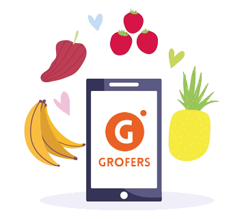 Want to Build a Groceries Delivery App Like Grofers